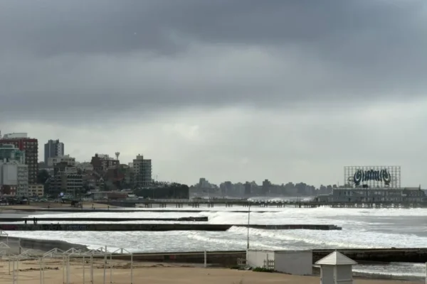 Llegan las lluvias y vos sin paraguas, ¿qué hacés?