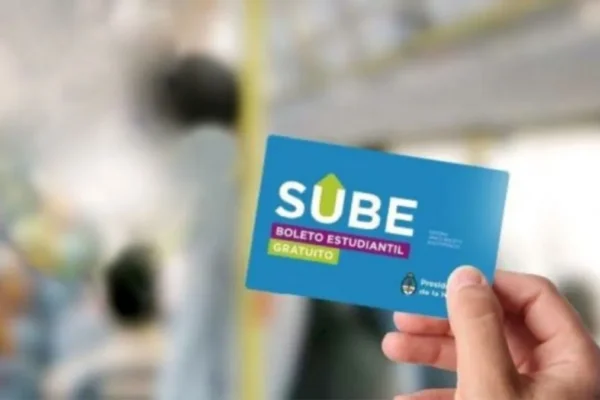 Boleto educativo: la odisea marplatense para conseguirlo