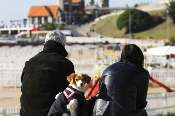 ¿Fin de semana largo sin turistas? Reservas en picada