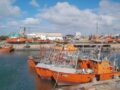 Pescar en MDP: ¿Modo invierno todo el año?
