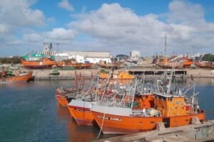 Pescar en MDP: ¿Modo invierno todo el año?