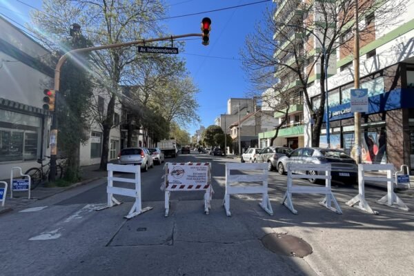Obras en Mar del Plata: el colectivo busca su Riquelme
