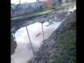 ¿Nuevo Golf o Waterworld? Nadar para ir a laburar