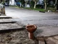 Arte moderno en Guido: ¿Inodoro entre basura?