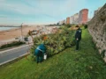 ¿Mar del Plata sin roedores? Operativo GamerCraft
