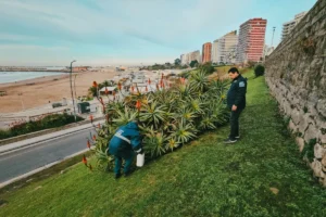 ¿Mar del Plata sin roedores? Operativo GamerCraft