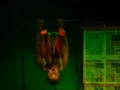 El Galpón se llena de teatro y circo estas vacaciones
