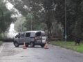 Lunes gris con lluvia en Mardel: paraguas de lujo