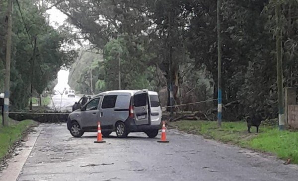 Lunes gris con lluvia en Mardel: paraguas de lujo