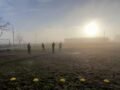 Entre la niebla y la tormenta: MDP bajo alerta