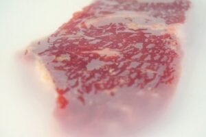 Envase Eco de Mardel: plástico, pero sin culpa