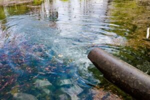 Residuos pesqueros para purificar el agua: un invento local