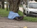 Hombre asesinado en Villa La Palangana