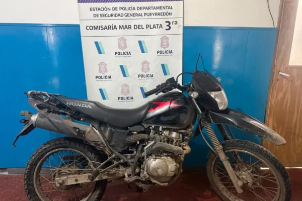 Vecinos al rescate: ¡atraparon a un ladrón de motos!