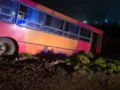 Accidente en Santa Paula: micro chocó contra terraplén