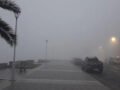 Neblina en Mar del Plata: el clima en pausa